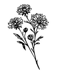 Easy Aster Drawing Flower Black And White