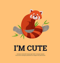 Cute Red Panda Sitting On Bamboo Tree Poster