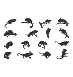 Chameleon Silhouettes Svg