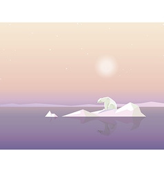 Polar Bear On Ice Cap