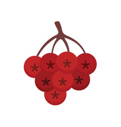 Rowan Autumn Berry Icon Flat Style