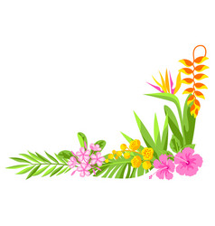 Background With Tropical Flowers Decorative