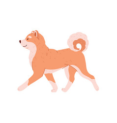 Walking Funny Shiba Inu Dog Cartoon Character