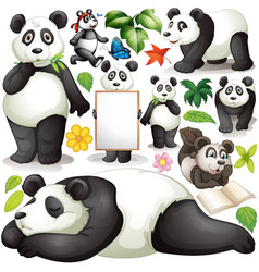 Panda In Different Actions