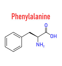 Phenylalanine Molecule Skeletal Formula