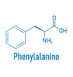 Phenylalanine Molecule Skeletal Formula