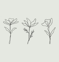 Wildflower Line Art Bundle