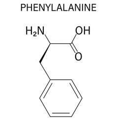 Phenylalanine Molecule Skeletal Formula