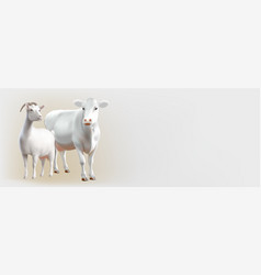 White Cow And Goat On Transparent Background