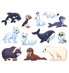 Arctic Animals Cartoon Polar Wolf Animal Tundra