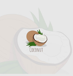 Coconut With Leaf Design For Restaurant