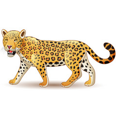 Cartoon leopard isolated on white background Vector Image