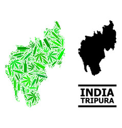 Drugs Mosaic Map Tripura State