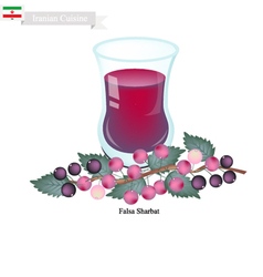 Falsa Sharbat Or Iranian Drink From Grewia Asiatic