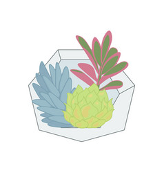 Succulent Plant In Glass Terrarium