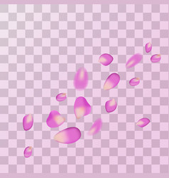 Realistic Purple Rose Petals With Mockup Frame