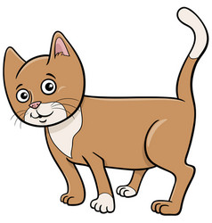 Cartoon Beige Cat Or Kitten Comic Animal Character