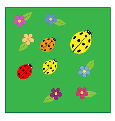 Ladybirds And Flowers