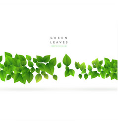 White Background With Floating Green Leaves