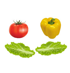 Realism Tracing Tomato Pepper And Lettuce