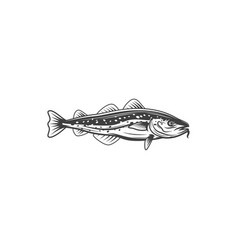 Bluefish Mascot Isolated Mackerel Tuna Fish Icon