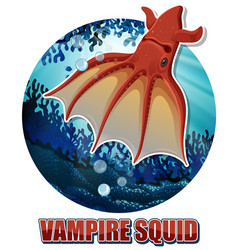 Vampire Squid Deep Sea Creature