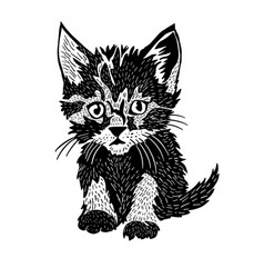 Kitten Graphic Object Hand Drawing Not Ai