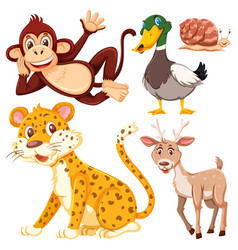 Set Of Cute Wildlife Cartoon Character