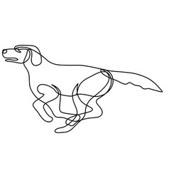 Labrador Retriever Dog Running Side View