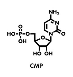 Cytidine Monophosphate Cmp Cytidylate Rna