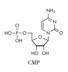 Cytidine Monophosphate Cmp Cytidylate Rna