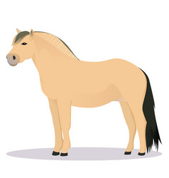 Fjord Horse