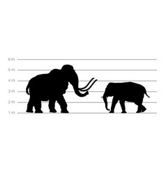 Mammoth Against Elephant Male Silhouette