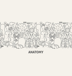 Anatomy Banner Concept