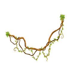 Twisted Wild Lianas Branches Banner Jungle Vine