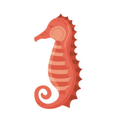 Red Seahorse Animal