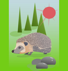 Small Hedgehog In The Forest