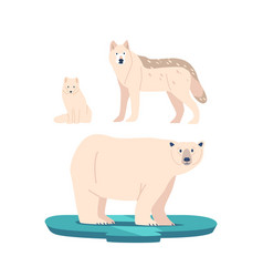 Polar Bear Arctic Fox And Wolf Are Iconic