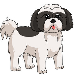 Shih Tzu Dog Cartoon Colored Clipart