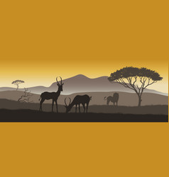 African Landscape Panorama Of Savannah Wilderness