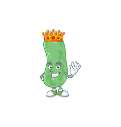 Charismatic King Enterobacteriaceae Cartoon