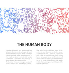 Human Body Line Template