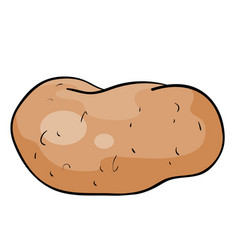 Single Potato In Brown Color Cartoon Isolated