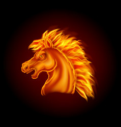 Fire Horse Head Isolated On Black Background