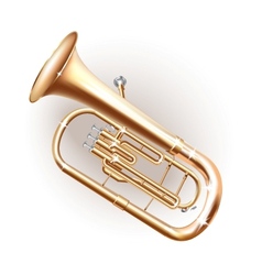 Classical Baritone Horn Euphonium Tuba