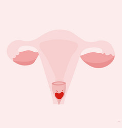 Womb Anatomy With Inserted Menstrual Cup Inside