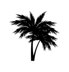 Black Silhouettes Of Tropical Palm Trees