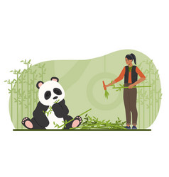 Zoo Worker With Panda Concept