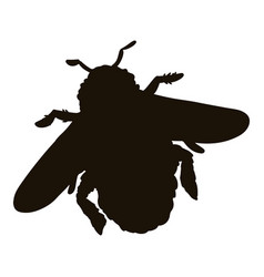 Bumble Bee Silhouette Icon Insect Contour Image