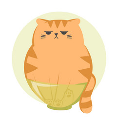 Cute Funny Grumpy Ginger Cat Cat Cat Is Sitting